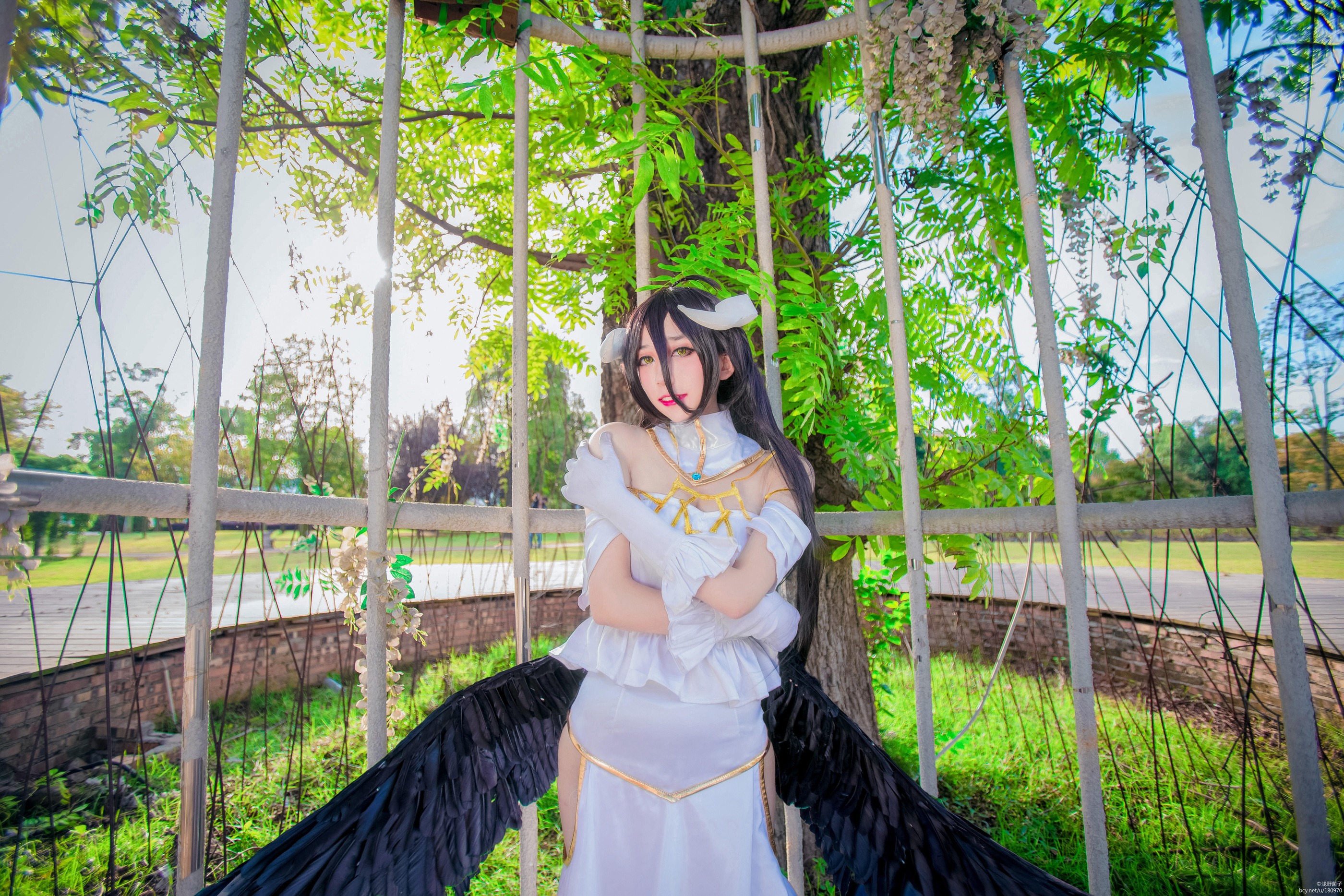 图片[1]-浅野菌子 – NO.010 Overlord 雅儿贝德1 [16P]-XikXak